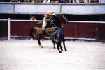 Bull fight, Cancun, Dec 01