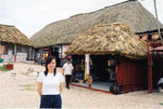 Mexican market, Dec 01