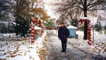 Niagara Falls 2, Nov 97